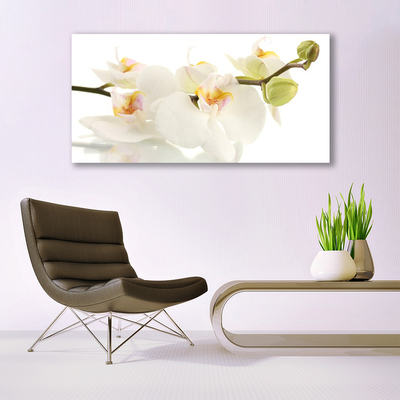 Tableaux sur verre Fleurs floral blanc