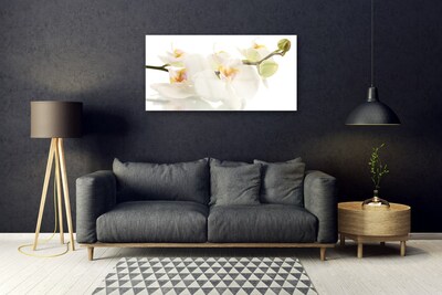 Tableaux sur verre Fleurs floral blanc