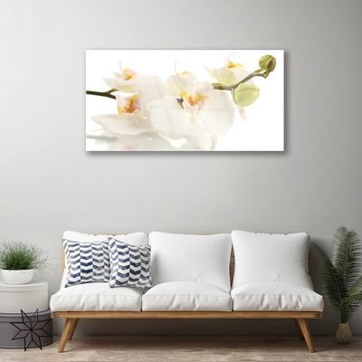 Tableaux sur verre Fleurs floral blanc