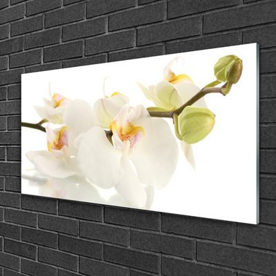 Tableaux sur verre Fleurs floral blanc