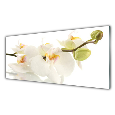 Tableaux sur verre Fleurs floral blanc