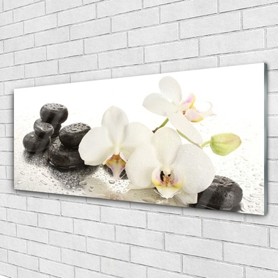 Tableaux sur verre Fleurs pierres floral blanc noir