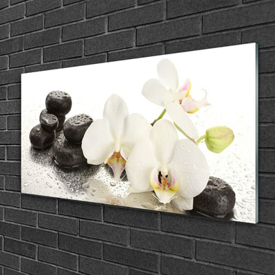 Tableaux sur verre Fleurs pierres floral blanc noir