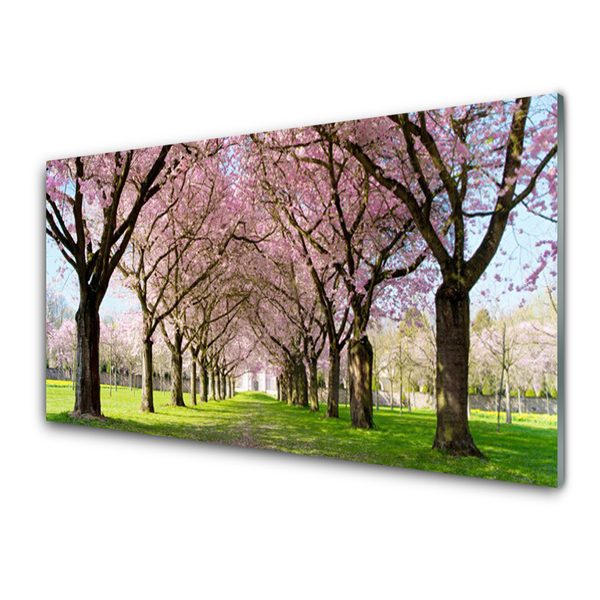 Tableaux sur verre Arbres sentier nature brun rose vert