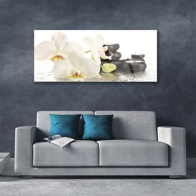 Tableaux sur verre Pierres fleurs floral blanc noir