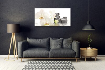 Tableaux sur verre Pierres fleurs floral blanc noir