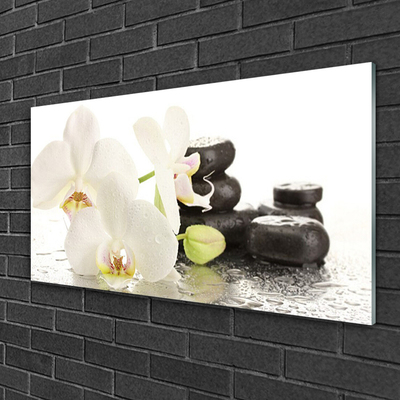 Tableaux sur verre Pierres fleurs floral blanc noir