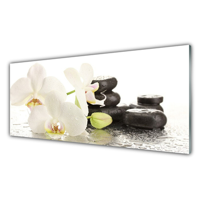 Tableaux sur verre Pierres fleurs floral blanc noir