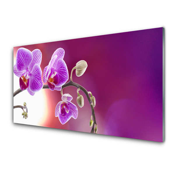 Tableaux sur verre Fleurs floral rose