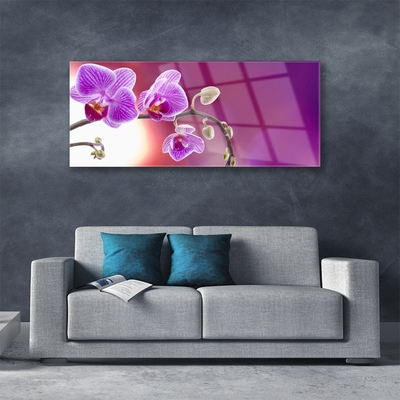 Tableaux sur verre Fleurs floral rose