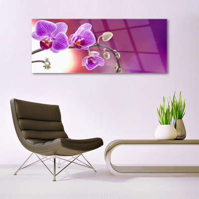 Tableaux sur verre Fleurs floral rose