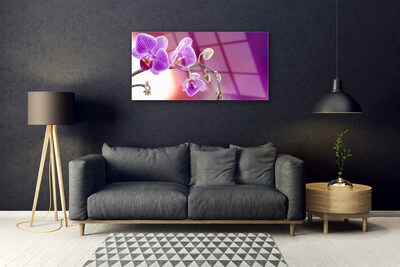 Tableaux sur verre Fleurs floral rose