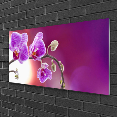 Tableaux sur verre Fleurs floral rose