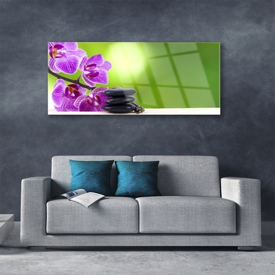 Tableaux sur verre Pierres fleurs floral rose noir