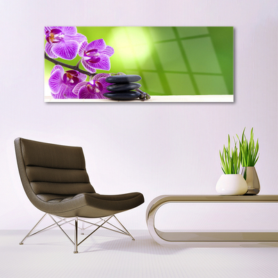 Tableaux sur verre Pierres fleurs floral rose noir