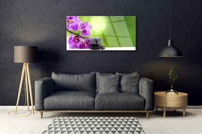 Tableaux sur verre Pierres fleurs floral rose noir