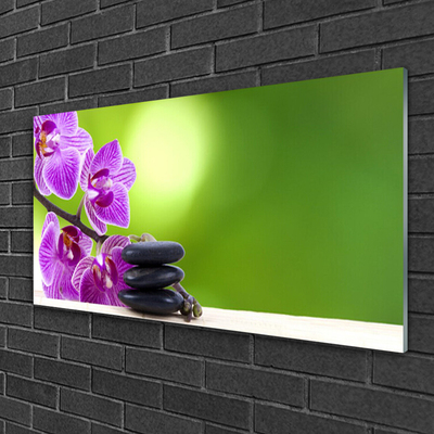 Tableaux sur verre Pierres fleurs floral rose noir