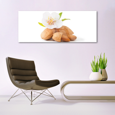 Tableaux sur verre Fleurs pistache floral blanc brun