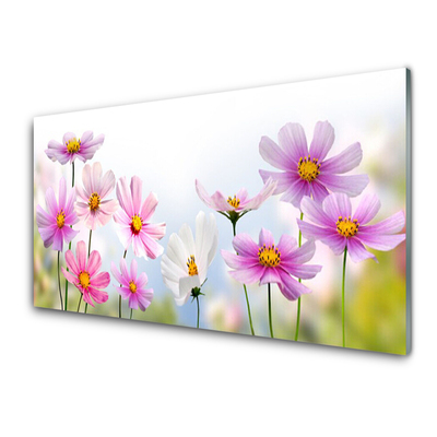 Tableaux sur verre Fleurs floral rose