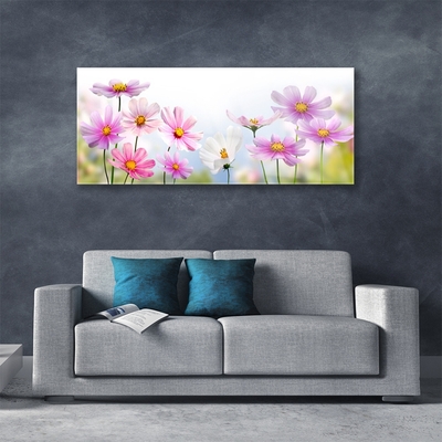 Tableaux sur verre Fleurs floral rose