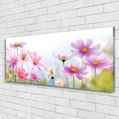 Tableaux sur verre Fleurs floral rose