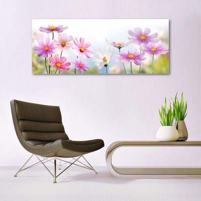 Tableaux sur verre Fleurs floral rose