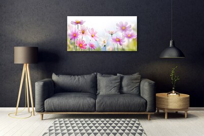 Tableaux sur verre Fleurs floral rose