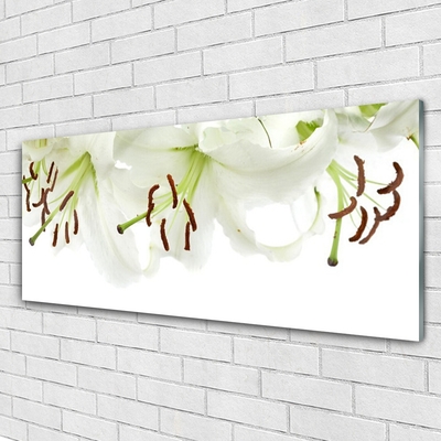 Tableaux sur verre Fleurs floral blanc vert brun