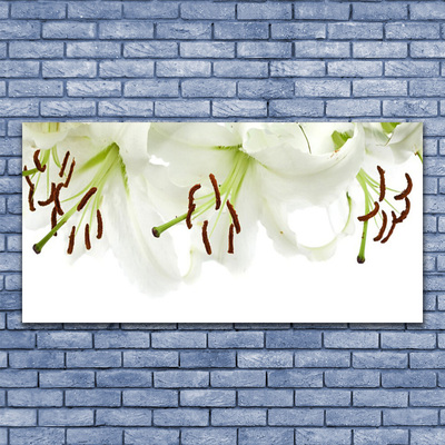 Tableaux sur verre Fleurs floral blanc vert brun