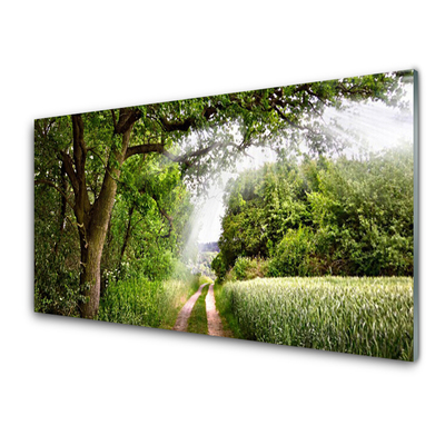 Tableaux sur verre Sentier arbres nature brun vert