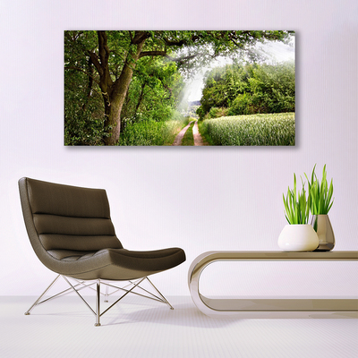 Tableaux sur verre Sentier arbres nature brun vert