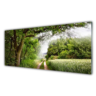 Tableaux sur verre Sentier arbres nature brun vert