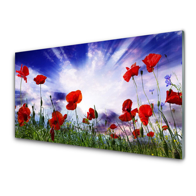 Tableaux sur verre Coquelicots nature rouge vert violet blanc