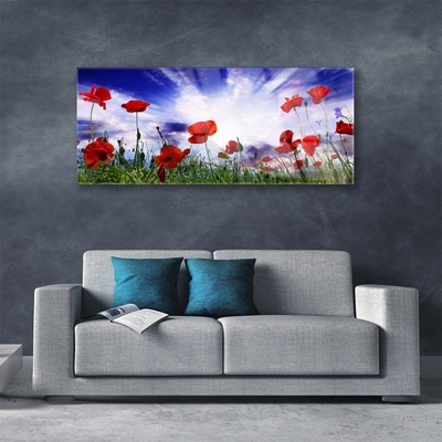 Tableaux sur verre Coquelicots nature rouge vert violet blanc