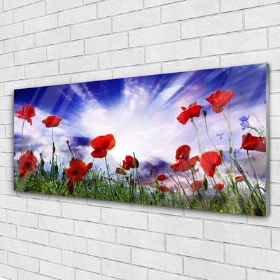 Tableaux sur verre Coquelicots nature rouge vert violet blanc