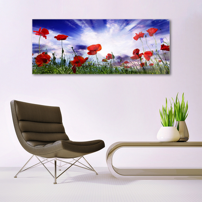 Tableaux sur verre Coquelicots nature rouge vert violet blanc