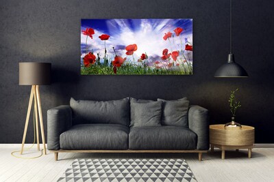 Tableaux sur verre Coquelicots nature rouge vert violet blanc