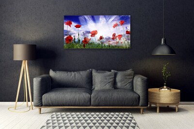 Tableaux sur verre Coquelicots nature rouge vert violet blanc