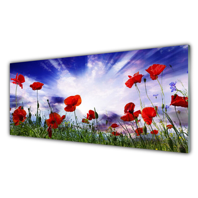 Tableaux sur verre Coquelicots nature rouge vert violet blanc