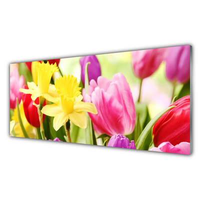 Tableaux sur verre Fleurs floral rouge jaune vert