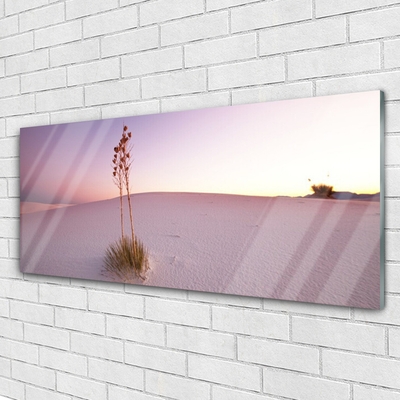 Tableaux sur verre Désert paysage brun