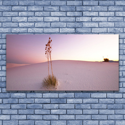 Tableaux sur verre Désert paysage brun