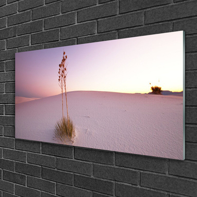 Tableaux sur verre Désert paysage brun