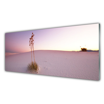 Tableaux sur verre Désert paysage brun