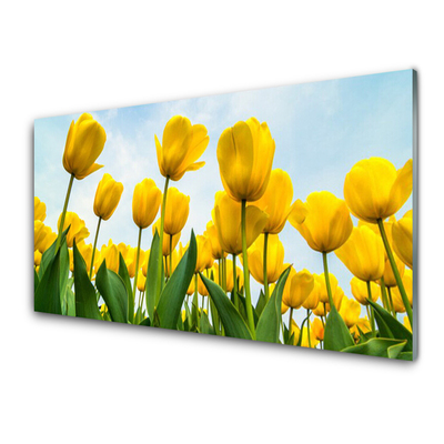 Tableaux sur verre Tulipes floral jaune vert