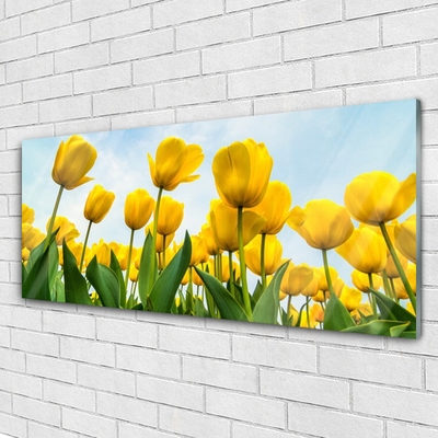 Tableaux sur verre Tulipes floral jaune vert