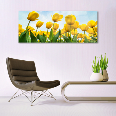 Tableaux sur verre Tulipes floral jaune vert