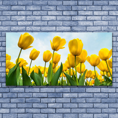 Tableaux sur verre Tulipes floral jaune vert