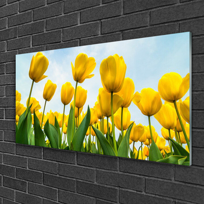 Tableaux sur verre Tulipes floral jaune vert