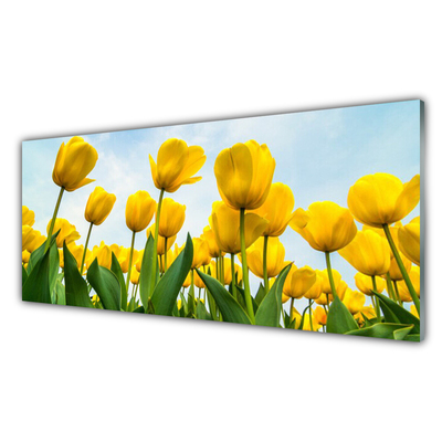 Tableaux sur verre Tulipes floral jaune vert